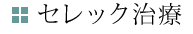 セレック治療のご案内